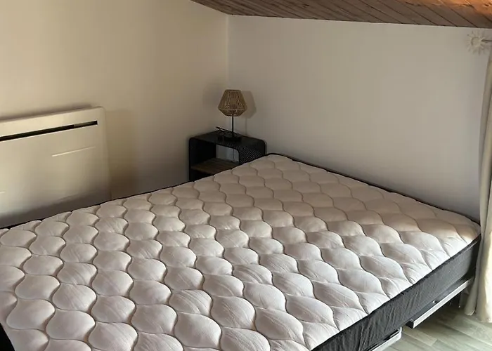 D'olonnes Hypercentre Apartment Les Sables-d'Olonne